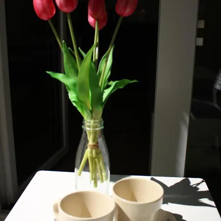 Nyugalom Appartamento *