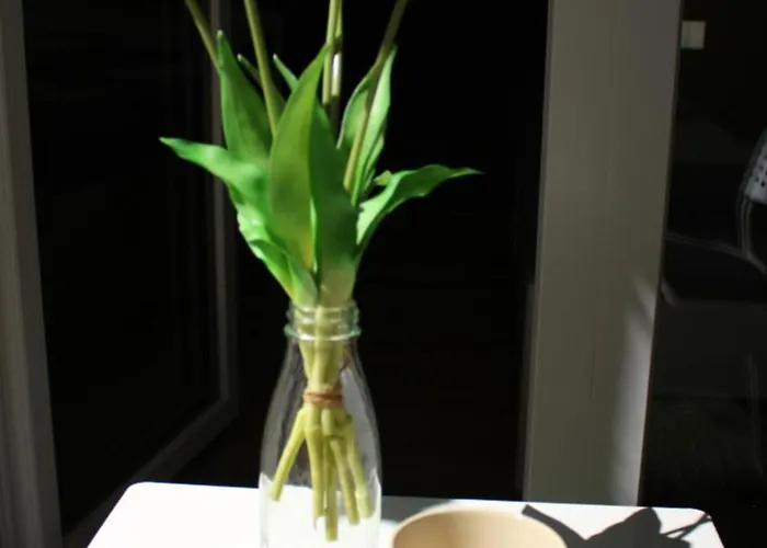 Nyugalom 아파트 *